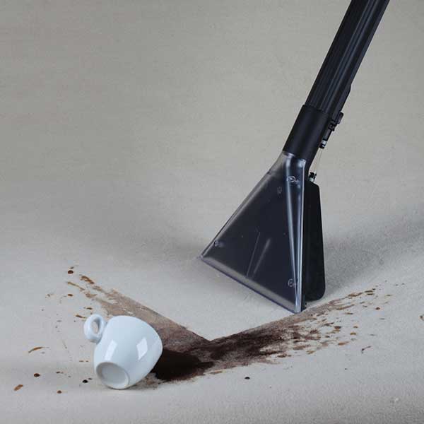 Carpet Stain Removal