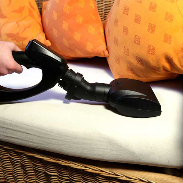 Padded Furniture Cleaning