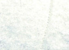 Carico Mattress Toppers